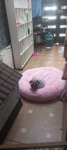 Customer photo review of Cama Antiestrés Para Perros