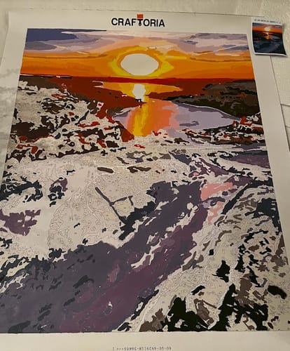 Customer photo review of Custom Paint By Numbers Kit