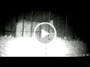 Customer video review of Secure Lyfe™ - Night Vision IR Optics w/ HD Video Recording