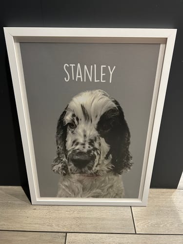 Customer photo review of Classic - Custom Pet Portrait