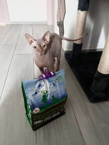 Customer photo review of Crocchette gatto formula Anatra e Mirtilli