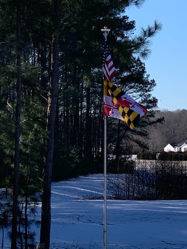 Customer photo review of State of Maryland Flag - Official Design and Specifications - Outdoor Nylon