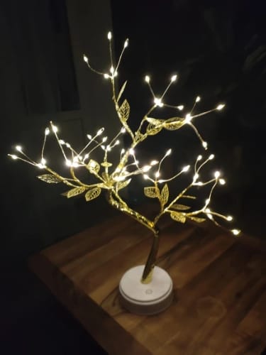 Customer photo review of Enchanted Bonsai™