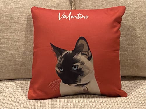 Customer photo review of Modern - Custom Pet Cushion