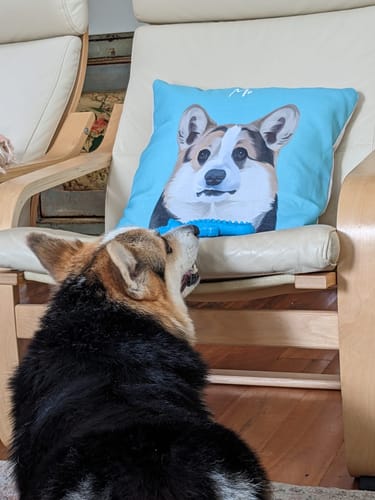 Customer photo review of Modern - Custom Pet Cushion