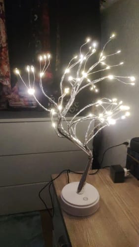 Customer photo review of Enchanted Bonsai™