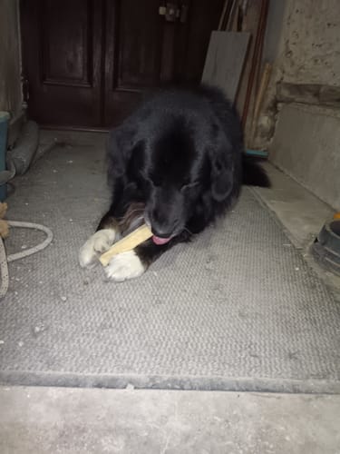 Customer photo review of Fromage de Yak