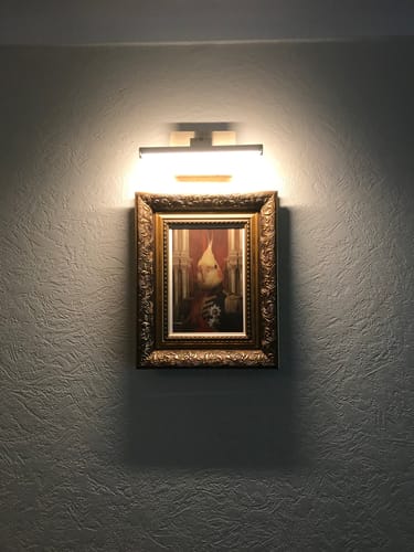 Customer photo review of The Heroic Major - Custom Pet Portrait
