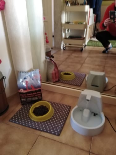 Customer photo review of Abbonamento gatto formula Anatra e Mirtilli