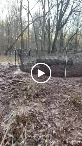 Customer video review of Pig Brig Trap System