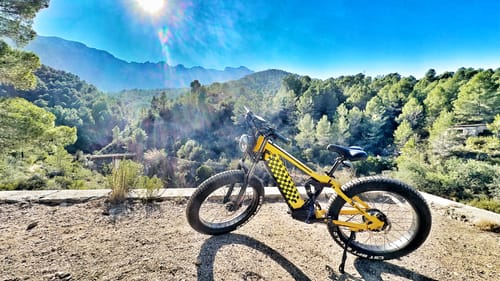 Customer photo review of Vitilan T7 Full Suspension Mountain E-bike