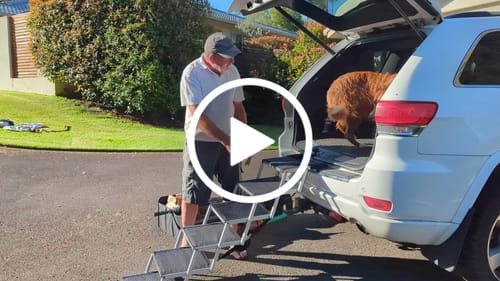 Customer video review of PaWz Foldable Aluminium Pet Steps