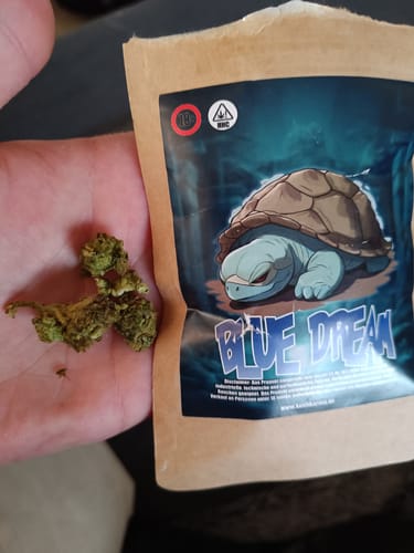 Customer photo review of Blue Dream