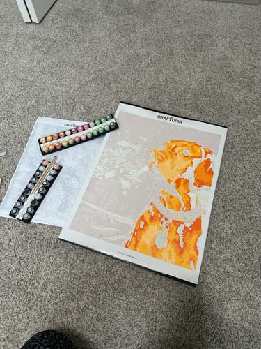 Customer photo review of Custom Paint By Numbers Kit