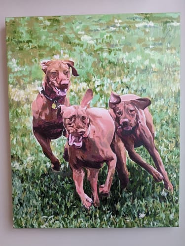 Customer photo review of YOUR PHOTO AS PAINT BY NUMBERS