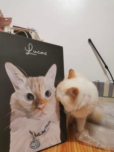 Customer photo review of Pet Art Canvas Wrap