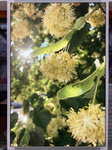 Customer photo review of Canvalight® Leuchtbild | Eigenes Motiv | Hochformat