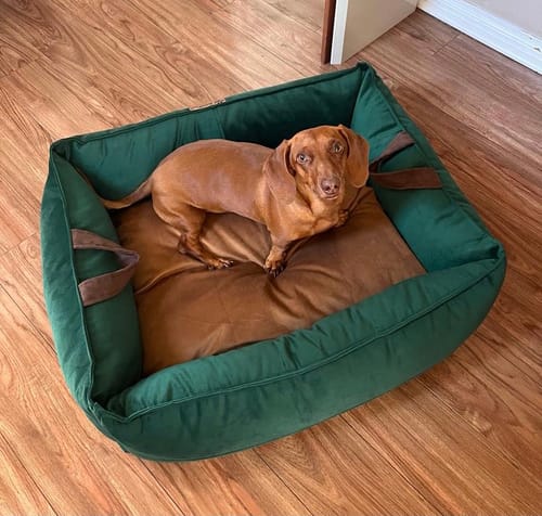 Customer photo review of Cama para mascota modelo nido Kuapets verde botella - café
