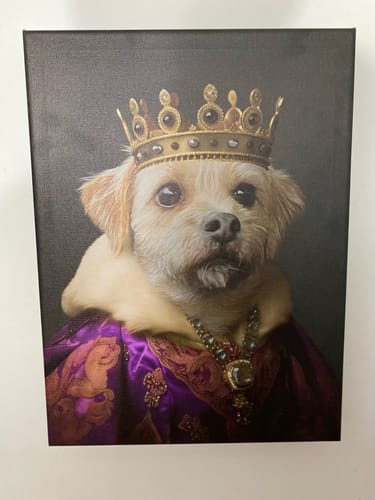 Customer photo review of Royal Highness – Custom Pet Canvas