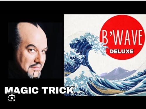 Customer photo review of B'Wave DELUXE by Max Maven