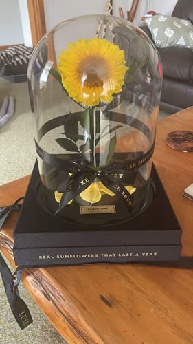 Customer photo review of Forever Sunflower