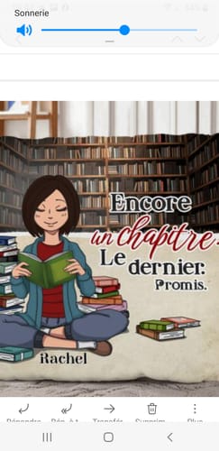 Customer photo review of La dévoreuse de livres - Coussin