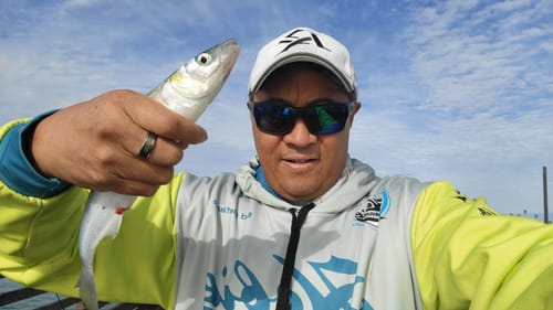 Customer photo review of Fisherman's Life® Jiggy Jigs 20g, 30g, 40g 50g (Four Color Variations)