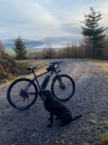 Customer photo review of Electric Mountain Bike M1 Plus(with APP)