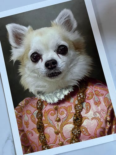 Customer photo review of The Duchess - Custom Vintage Pet Portrait