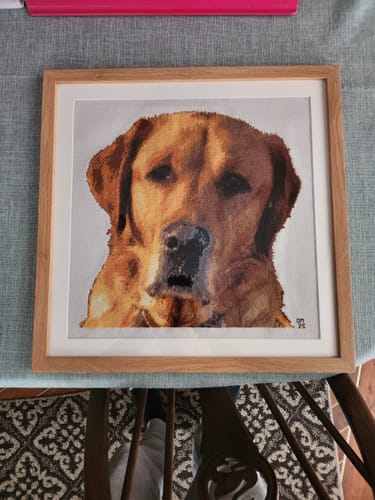 Customer photo review of Custom Cross Stitch Tapestry Kit | Just Upload Your Photo!