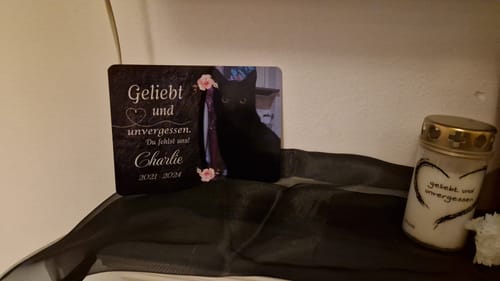 Customer photo review of Katzen Gedenktafel mit Foto & Spruch (UV- & Wetterfest)