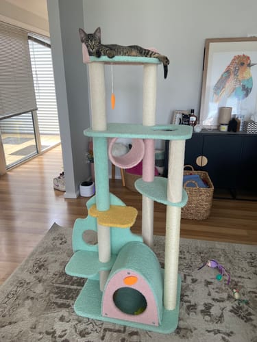 Customer photo review of Dreamy Macaroon Party Cat Tree with Scratching Post and Nest