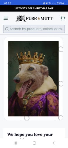 Customer photo review of Royal Highness - Custom Pet Portrait