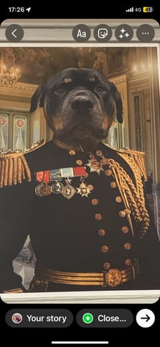 Customer photo review of The Earl - Custom Pet Portrait