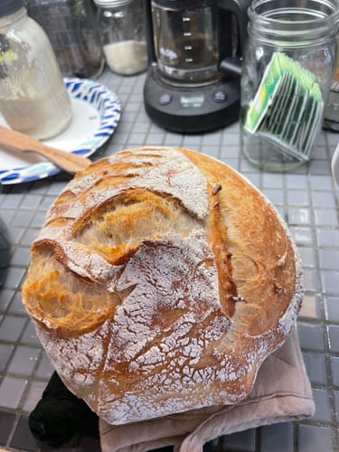 Customer photo review of Sourdough Starter (Dehydrated)