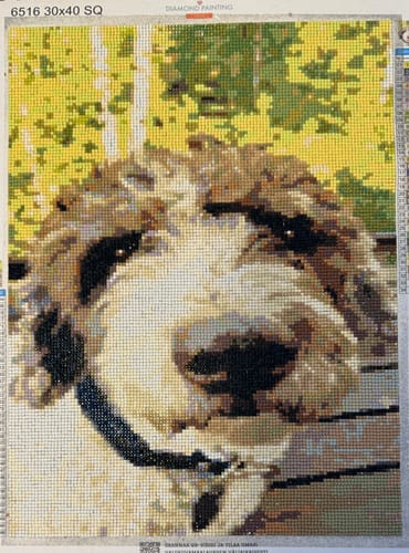 Customer photo review of Oma Kuva Timanttimaalaus Diamond Painting