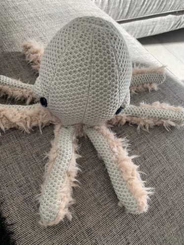 Customer photo review of The Mini Octopus