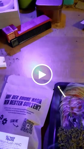 Customer video review of Melon Kush HHC 25%