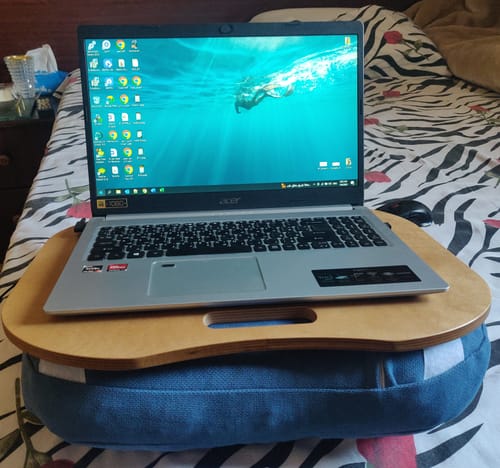 Customer photo review of Lazylap