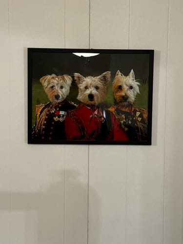 Customer photo review of The Earl, Ambassador & The General - Custom Pet Portrait