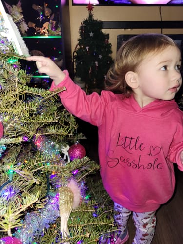 Customer photo review of Little Sasshole™: Hoodie of Mischief Toddler Girl's Cute Hoodie