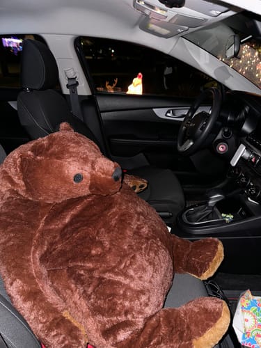 Customer photo review of SKOGGY BEAR