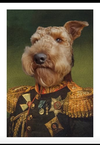 Customer photo review of The General - Custom Vintage Pet Portrait