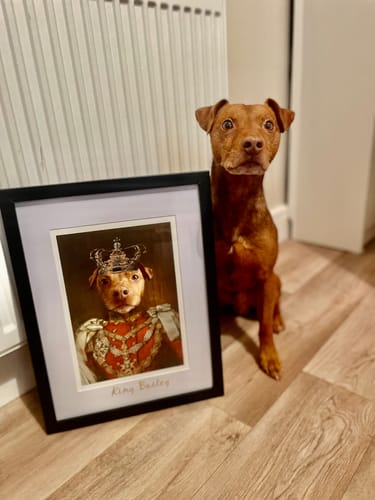 Customer photo review of The Prince - Custom Vintage Pet Portrait
