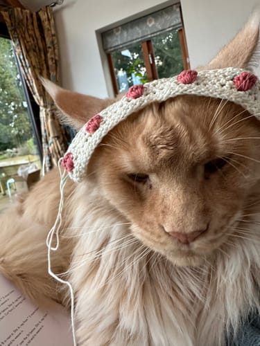 Customer photo review of Curate Crochet Box - Monthly Subscription