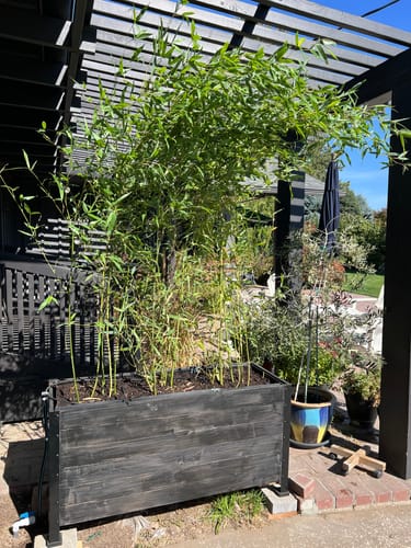 Customer photo review of Platform Feet