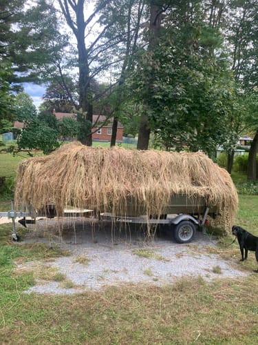 Customer photo review of Hunting Blind Raffia Grass (Pack)