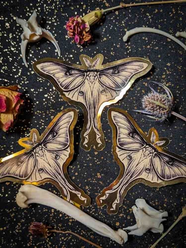 Customer photo review of Gold Stickers