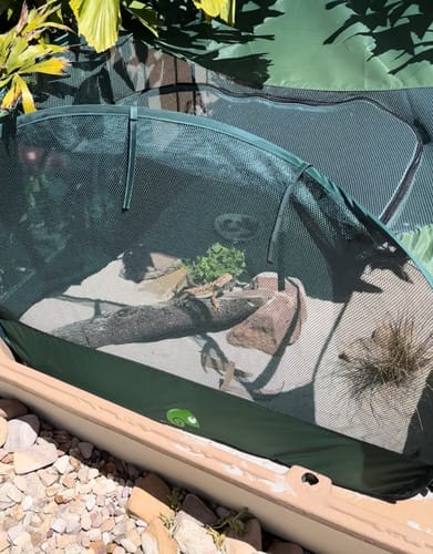 Customer photo review of PUC 1000