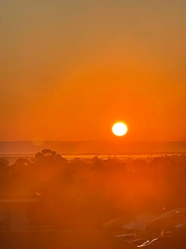 Customer photo review of The Essential Pair